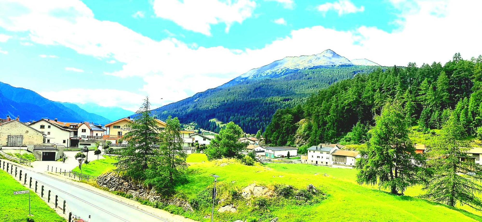 Reschnerhof Resia Quarto foto